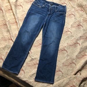 Silver Jeans 18x31